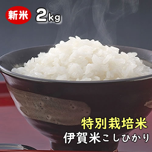 楽天市場】【特別栽培米】 伊賀米コシヒカリ 特A 三重県伊賀産 玄米 ...