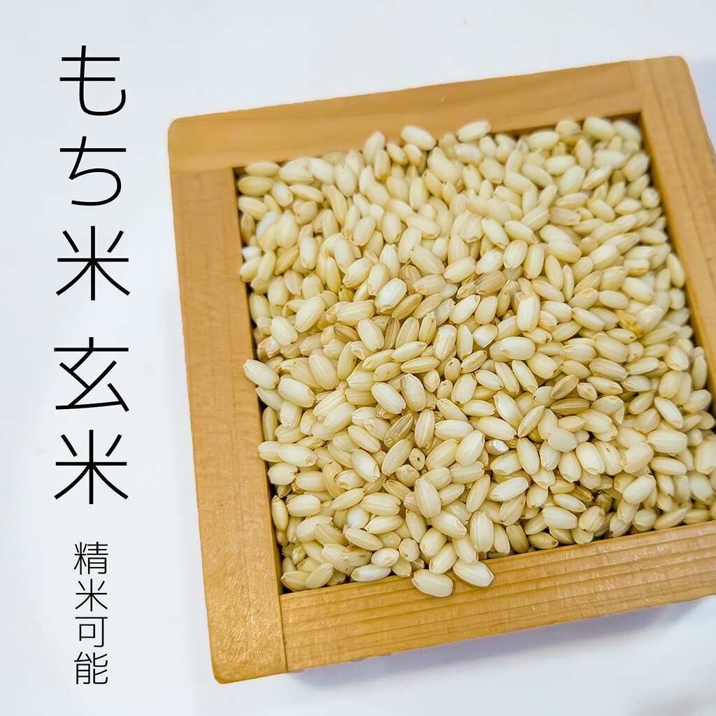 楽天市場】【もち玄米】千葉県産 ヒメノモチ 令和6年産 もち米