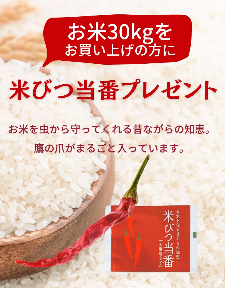 農家直送‼️令和５年度☆新米☆秋田県産 これが本場のあきたこまち精米