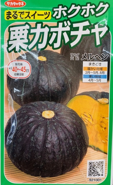 楽天市場 2020年春種 種子 種 南瓜 かぼちゃ メルヘン 6 5ml 有限