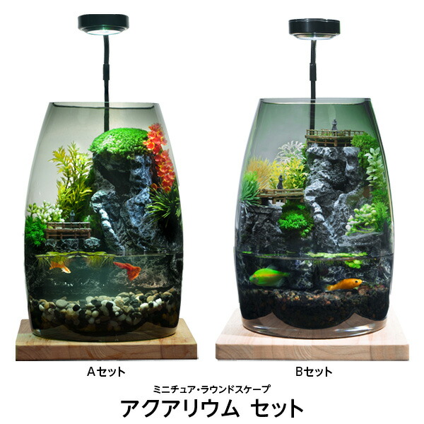 アクアリウム セット ミニチュア ラウンドスケープ ポリカーボネート使用 3Dプリント LEDライト 【お取り寄せ】