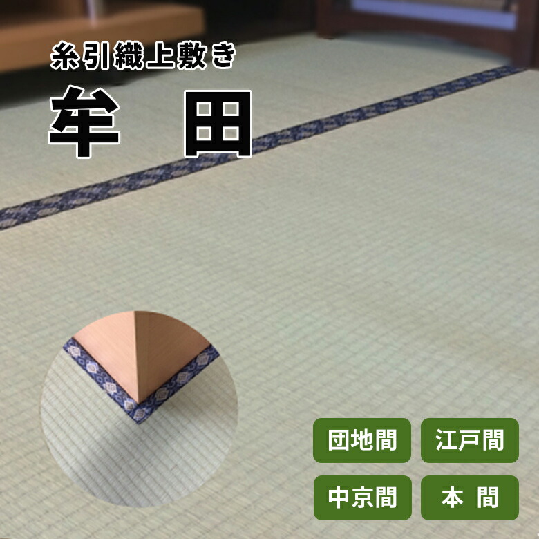 素敵でユニークな 中京間 6畳 約273cm 364cm フリーカット対応 国産 上敷き 牟田dx 緑茶吹付 畳の日焼け防止 涼しい 除湿 抗菌 殺菌 消臭 いぐさ い草 ござ 茣蓙 御座 上敷き カッター ハサミ 即納 最大半額 Css Edu Om
