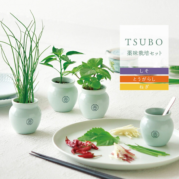 楽天市場】[スーパーSALE開催中] 栽培キット 野菜 TSUBO しそ