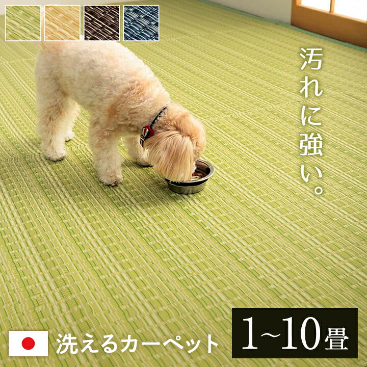 楽天市場】ござ 1畳 2畳 3畳 4.5畳 6畳 8畳 10畳 ラグ 洗える 夏用