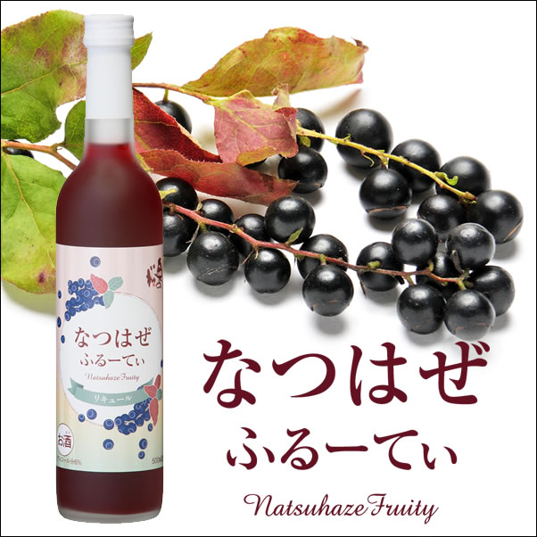 楽天市場】奥の松 とろりんご 500ml 和リキュール 低アルコール