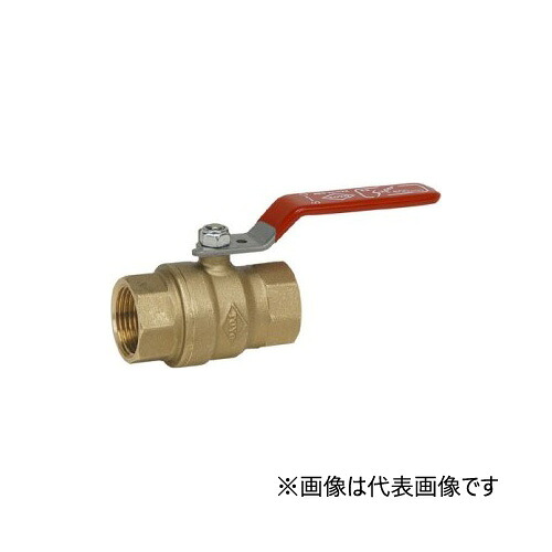 オリエントバルヴ/株式会社キッツ【600RB-N 40A】11/2B 金管楽器弁膜 どんぶり鉢弁膜 盛りだくさんボア 600 ねじ込み形〔HH〕