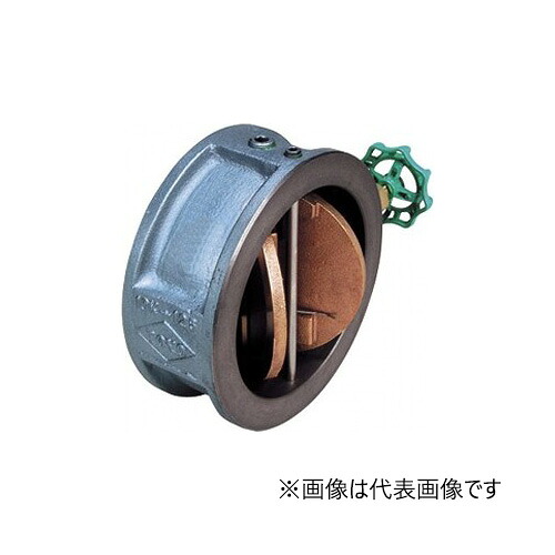 オリエントバルヴ/株式会社キッツ【10-FNW 350A】14B 鋳鉄弁膜 ウィングチェッキバルブ (ぼうぜん自失吸い入れる式) 10K ウェハー形〔HE〕
