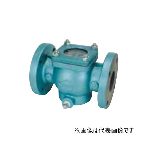 オリエントバルヴ/株式会社キッツ【10-FTSF-WG 150A】6B 鋳鉄弁膜 鋳鉄フランジ形 引っ切りない形ストレーナ 10K 多孔板 ウォッチグラスあり〔GJ〕