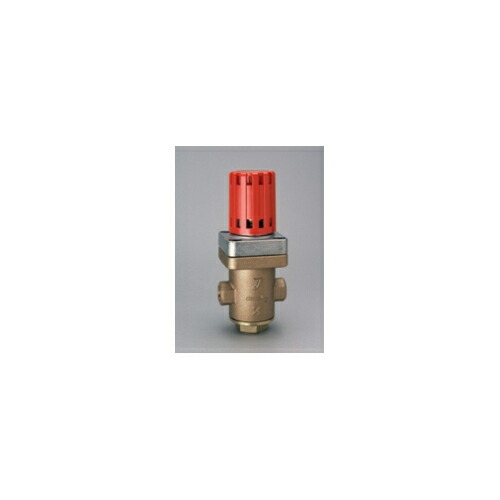 ヨシタケ【GD-30-25A】蒸気船用減圧弁 小型・超軽さ 直動式 呼び径25A(1)〔HG〕