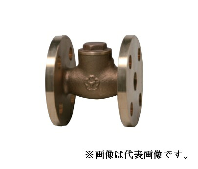 大和弁膜【B10FC-40A】青銅弁膜 スイングチェッキ〔HI〕
