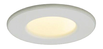 β東芝 点火装置物の具【LEDD-00002N-LS1】LED常夜灯 落ちこむ点火装置 斑点模様光手合い 埋込穴φ40 照明ランプ付 受注生み出すこと {S}