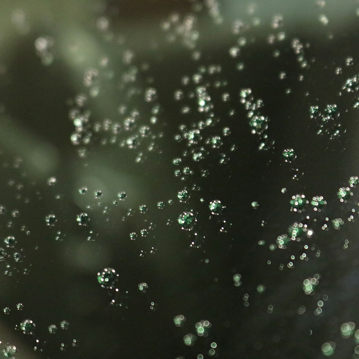 窗被風剤 ウィンドウ硝子塗装剤 個所固化 撥水コーティング 窓ガラスコート ウィンドウコート 洗車輌 車 ガラス 前っ面ガラス 専用 Daemlu Cl