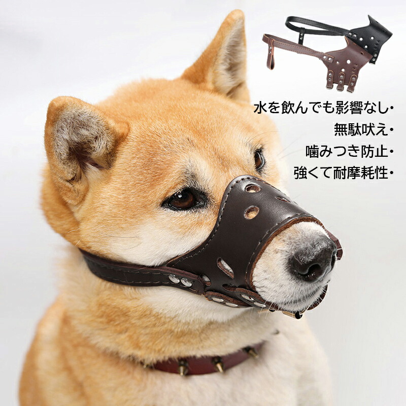 楽天市場】口輪 犬 ペット用マスク レザー 革製 口が長い犬種 噛みつき