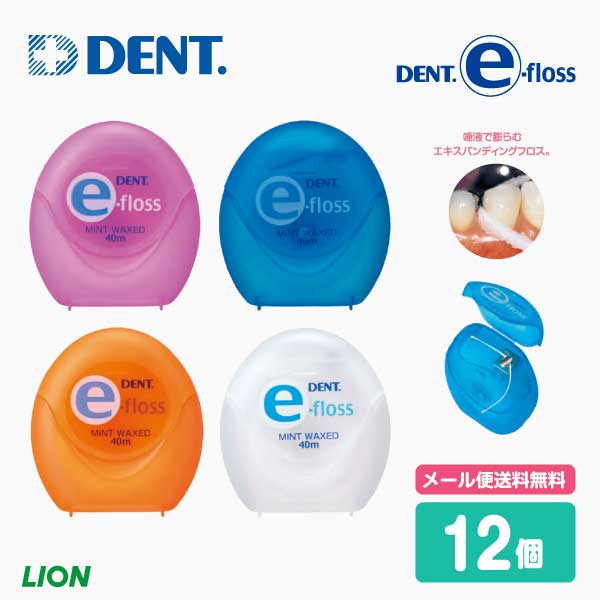 正規代理店 Lion ライオン デンタルフロス DENT e-flossデントイーフロス 12個 trumbullcampbell.