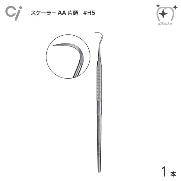 楽天市場】歯科用スケーラー サイズ：155mm デンタルスケーラー 歯石