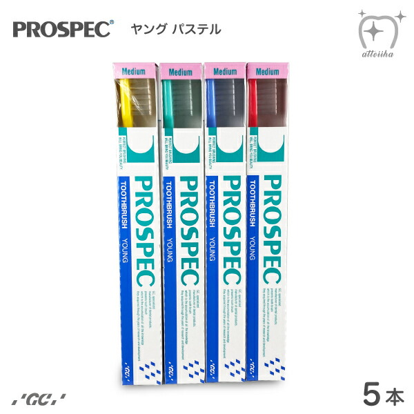 プロスペック　36本　ヤング　やわらかめ 楽天市場】【送料無料】GC ジーシー プロスペック PROSPEC
