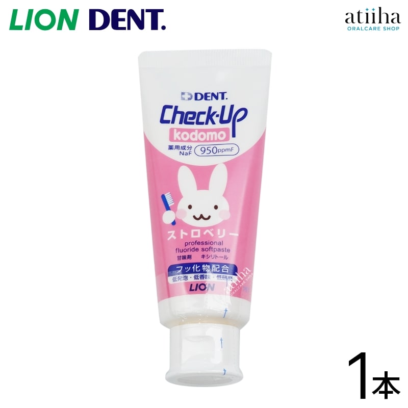 歯科用 歯周病ケア電動歯ブラシ LION DENT.EX ビブラートケア 歯科専売品)ライオンDENT.EX systema ビブラートケア 通常配送