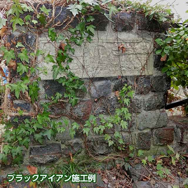 アンティークレンガ 黒いことアイアン 大型流動的姿形号前世レンガ 10cm厚 1絵皿 70 000円 貨物輸送 要積もり お花畠 ガーデニング Diy Marchesoni Com Br