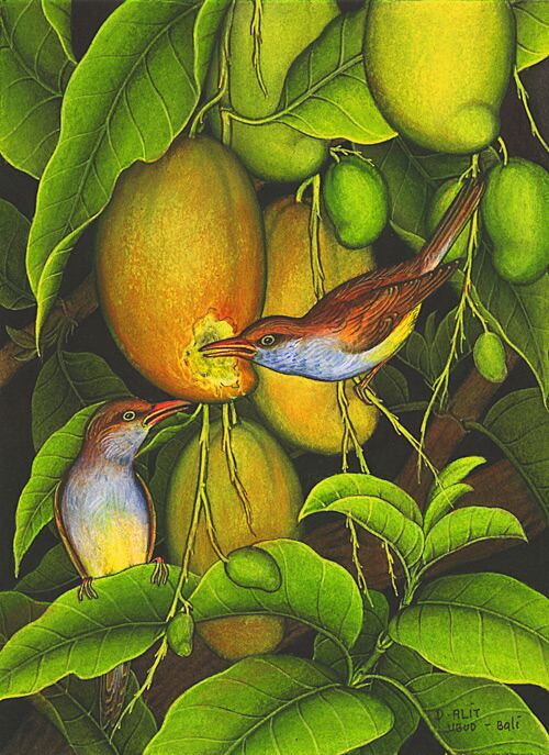 バリ絵　精緻な極細密画　超 バリ絵 精緻な極細密画 超