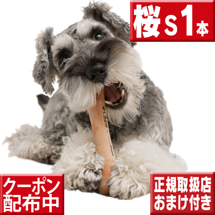 今ならオマケ付 愛犬のストレス発散に chew 流行に for 期間限定送料無料 more trees Sサイズ桜の木 犬 おもちゃ 木 フォー ボーン 犬の歯固め 甘噛み チュウ 犬のおもちゃ しつけ 仔犬 トゥリーズ モア