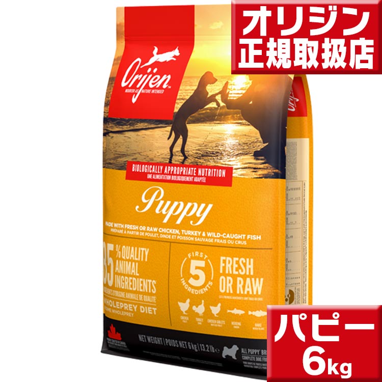 オリジン パピー 6kg 送料無料 ORIJEN グレインフリー 穀物不使用 犬 アレルギー ドッグフード 即日発送 ドッグフード オリジン ドッグフード オリジナル 子犬 高齢犬 成犬 パピー シニア犬
