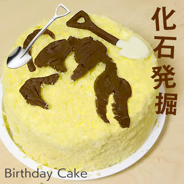 楽天市場 おもしろ ケーキ 恐竜 化石発掘 5号 ギフト誕生日ケーキ 子供 こども 記念日ケーキ 男の子 男性 お菓子 バースデーケーキ サプライズ 面白い 送料無料 いいなstores