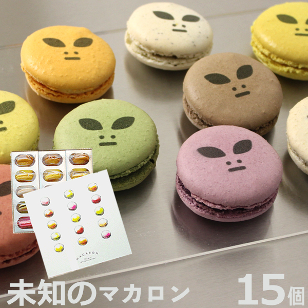 宇宙人 未知のマカロン 15個 Box おもしろ お菓子 ホームパーティ ギフト 贈り物 家族 友達 かわいい プレゼント インスタ映え スイーツ 宇宙人 未知のマカロン 15個 Box おもしろ お菓子 ホームパーティ ギフト 贈り物 家族 友達 かわいい プレゼント インスタ映え の