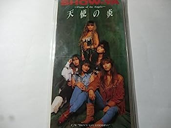 【中古】【非常に良い】天使の炎