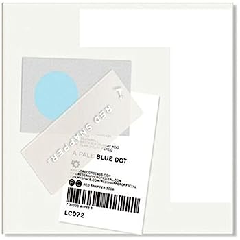 【中古】【非常に良い】Pale Blue Dot (LCD72)｜IINEX