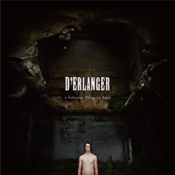 【中古】【非常に良い】a Fabulous Thing in Rose - DERLANGER|IINEX