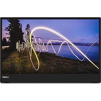【中古】(非常に良い)ThinkVision M15 (15.6型) 1920×1080/USB Type-C|IINEX