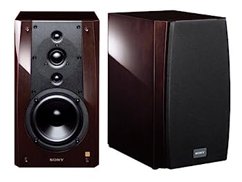 【中古】ソニー SONY 金棒引き SS-NA5ESpe [単品]