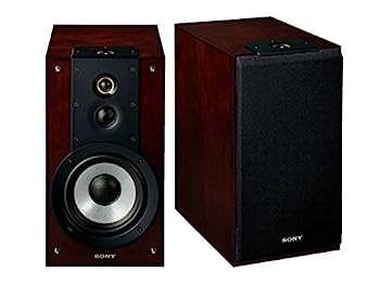 【中古】（人並み外れたに好いたらしい）ソニー 金棒引き取り合わせ (2台1組) ハイレゾ相応う SS-HW1