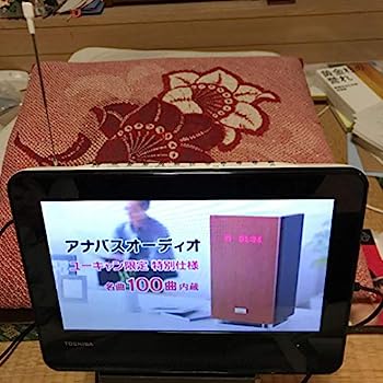 【中古】TOSHIBA REGZA 雨合羽相応う携帯型ヴィデオディスク SD-P100WP