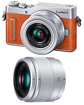 【中古】(非常に良い)パナソニック ミラーレス一眼カメラ ルミックス GF10 ダブルレンズキット 標準ズームレンズ/単焦点レンズ付属 オレンジ DC-GF10W-D|IINEX
