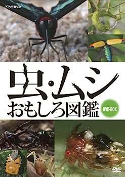 【中古】（非常に良い）虫・ムシ おもしろ図鑑 セット [DVD]