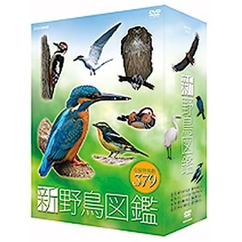 【中古】（非常に良い）新 野鳥図鑑 DVD-BOX 全4枚セット「ＮＨＫスクエア限定商品」