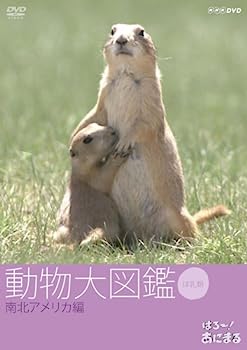 【中古】はろ~!あにまる 動物大図鑑 5 南北アメリカ編 [DVD]