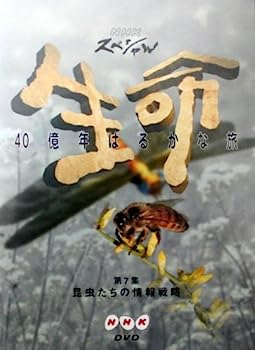 【中古】（非常に良い）NHKスペシャル 生命40億年はるかな旅 第7集:昆虫たちの情報戦略 [DVD]