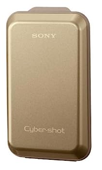 【中古】（非常に良い）ソニー SONY ハードキャリングケース ゴールド LCH-TW1/N