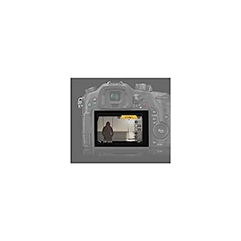 【中古】（非常に良い）パナソニック デジタルカメラ LUMIX GH4 専用 V-Log L アップグレードソフトウェア DMW-SFU1｜IINEX