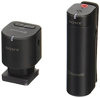 【中古】ソニー ワイヤレスマイクロホン ECM-W1M C