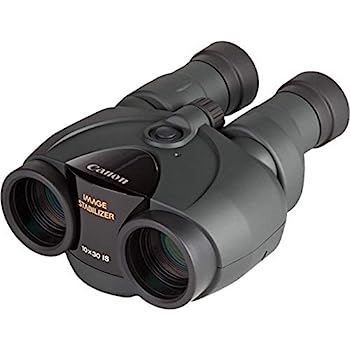 【中古】Canon 小型望遠鏡 10×30 IS  BINO10X30IS2
