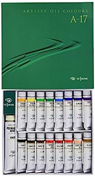 【中古】（人並み外れたに好いたらしい）クサカベ 油絵具 専門職家用 油絵具書き割り 17色書き割り A-17 20ml