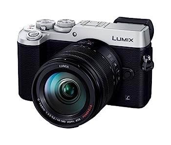 【中古】パナソニック ミラーレス一眼カメラ ルミックス GX8 レンズキット 高倍率ズームレンズ付属 2030万画素 シルバー DMC-GX8H-S