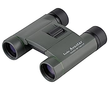【中古】Kenko 双眼鏡 Avantar 10&times;25 DH WP 10倍 25口径 ダハプリズム式 2軸式 AVT-1025DW｜IINEX
