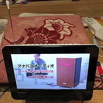 【中古】（非常に良い）TOSHIBA REGZA 防水対応ポータブルDVD SD-P100WP｜IINEX