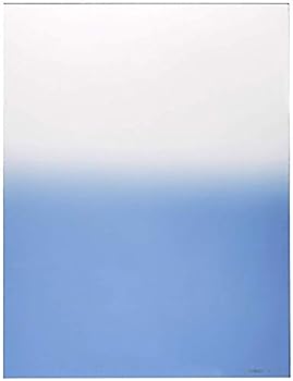 【中古】（非常に良い）Cokin 角型レンズフィルター X122 ブルー 1 170×130mm 色彩効果用 500431