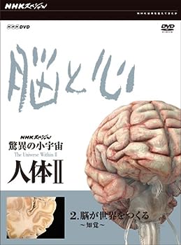 【中古】NHKスペシャル 驚異の小宇宙 人体II 脳と心 第2集 脳が世界をつくる~知覚~ [DVD]