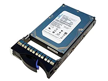 【中古-人並み外れたに好いたらしい】 ST3500630NS IBM サーヴァー用マウンター付 500GB 7200rpm 3.5in SATA